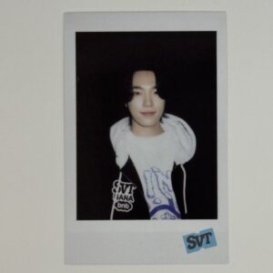 POLAROID: SEVENTEEN – Nana BNB