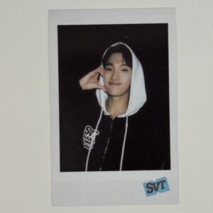 POLAROID: SEVENTEEN – Nana BNB