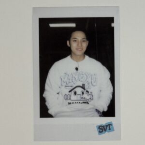 POLAROID: SEVENTEEN – Nana BNB
