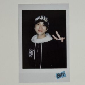 POLAROID: SEVENTEEN – Nana BNB