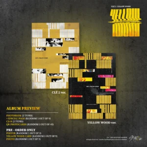 Stray Kids - SPECIAL ALBUM - Clé 2 : YELLOW WOOD - Clé 2 / YELLOW WOOD Ver.